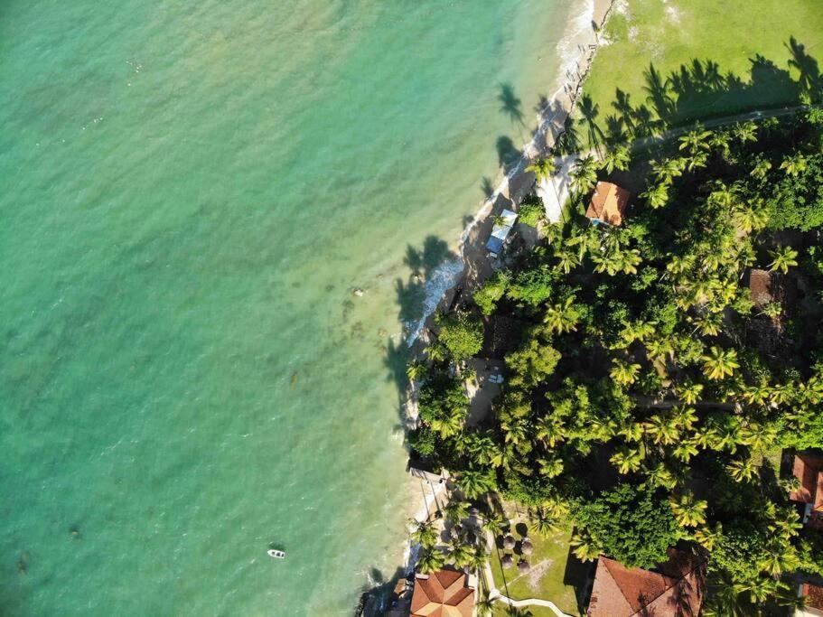 Holiday home Casinha Jardim Palmeiras