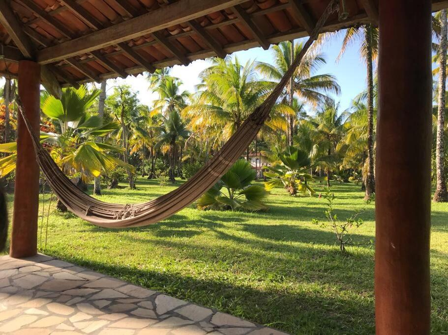 Casinha Jardim Palmeiras