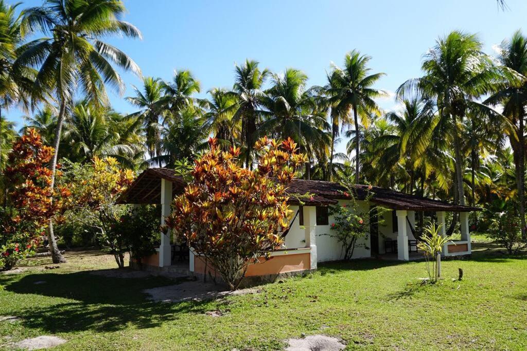 Casinha Jardim Palmeiras * Morro de Sao Paulo