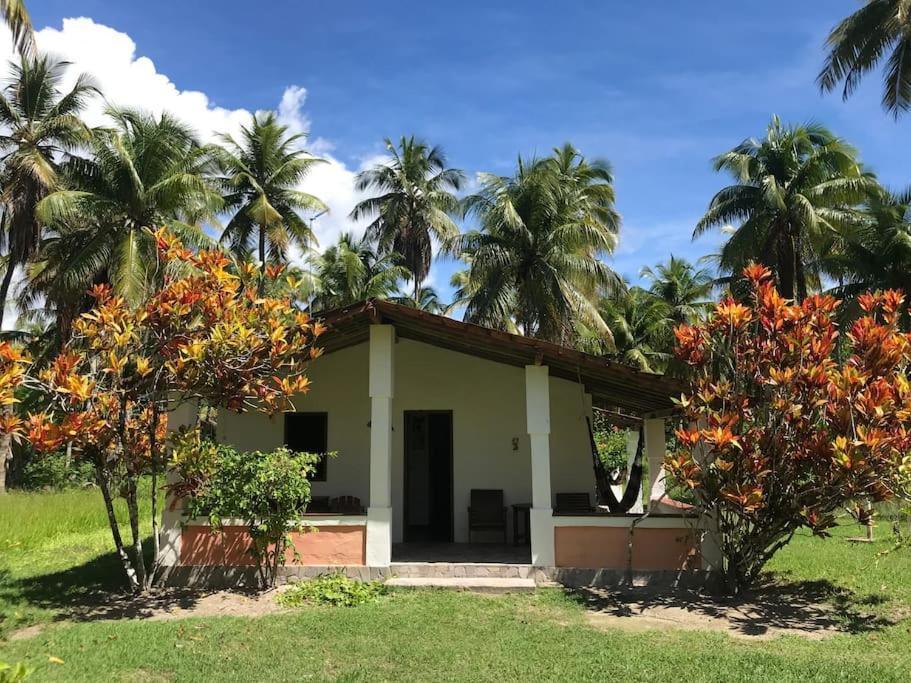 Holiday home Casinha Jardim Palmeiras