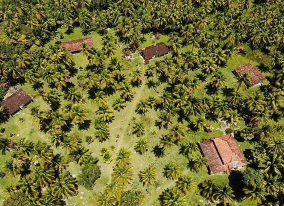 Casinha Jardim Palmeiras