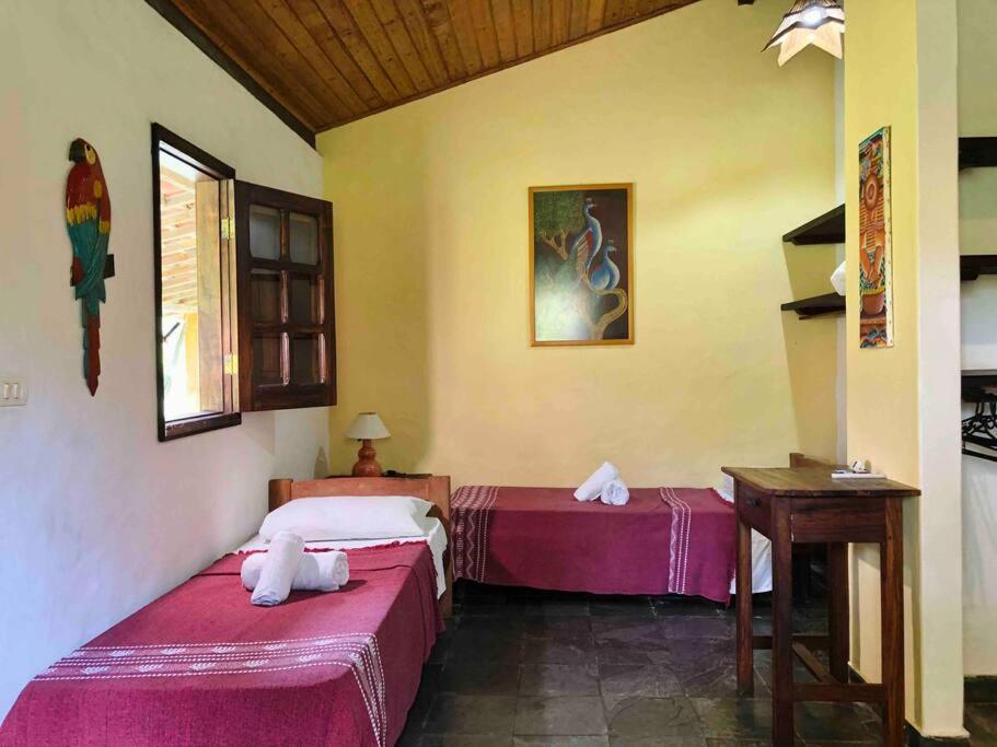 Casinha Jardim Palmeiras Holiday home