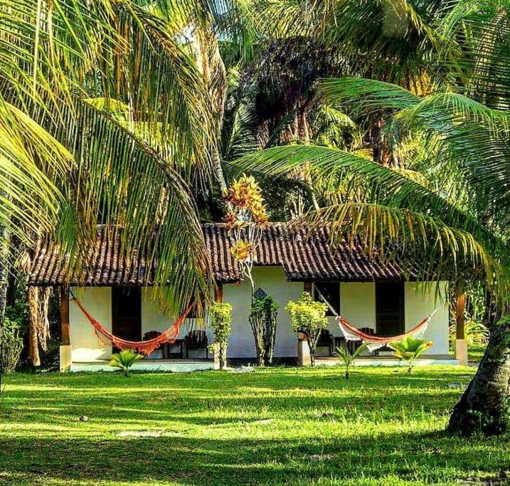 Casinha Jardim Palmeiras Holiday home *