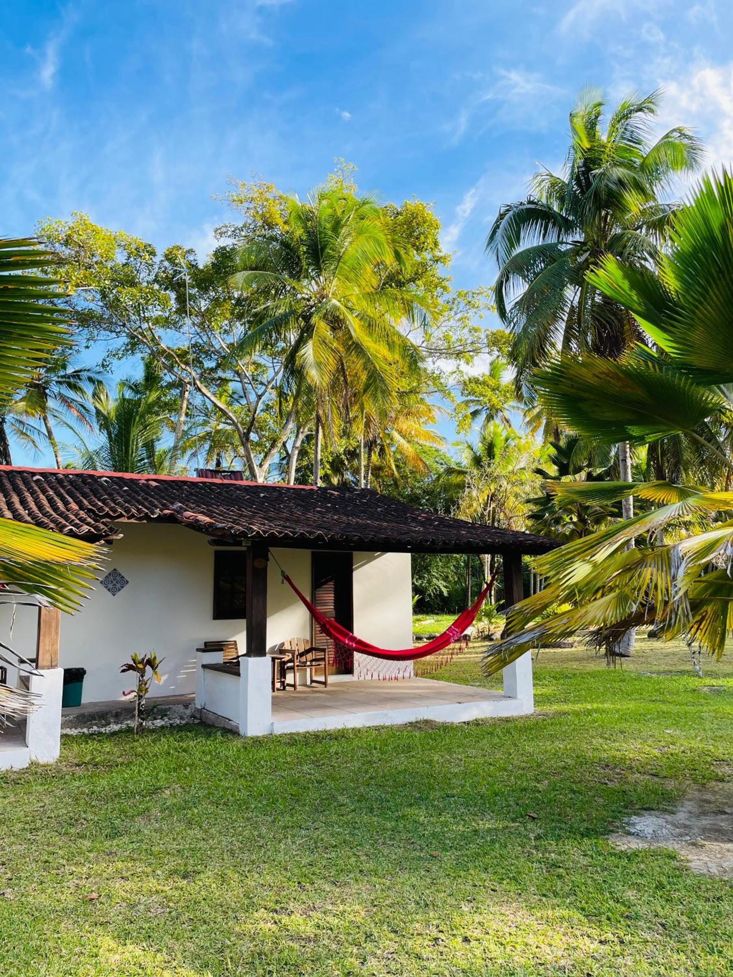 Casinha Jardim Palmeiras Holiday home